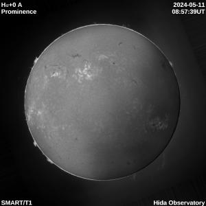 Ha+0.0 angstrom full disk prominence image