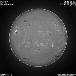 Ha+0.0 angstrom full disk prominence image