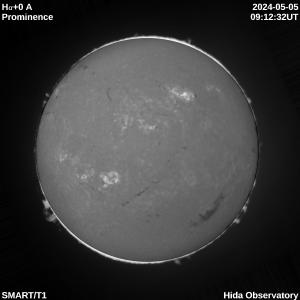Ha+0.0 angstrom full disk prominence image