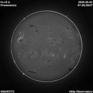 Ha+0.0 angstrom full disk prominence image